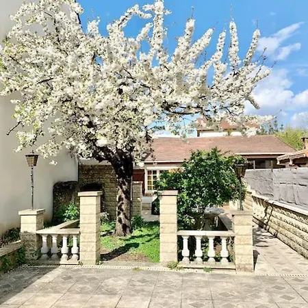 Villa 3 Bedrooms House - Garden - Parking, Center Near Paris And Orly Antony