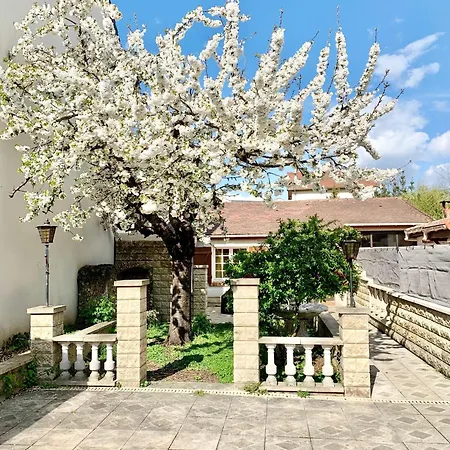 3 Bedrooms House - Garden - Parking, Center Near Paris And Orly Villa